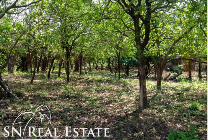 0 bed Land For Sale in Marbella, Guanacaste - thumb 17