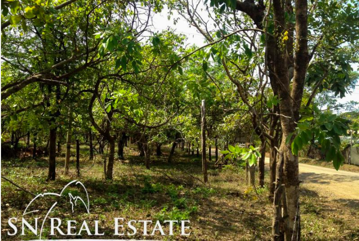 0 bed Land For Sale in Marbella, Guanacaste - thumb 18