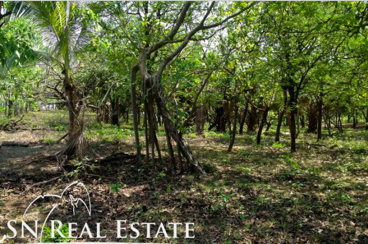 0 bed Land For Sale in Marbella, Guanacaste - thumb 16