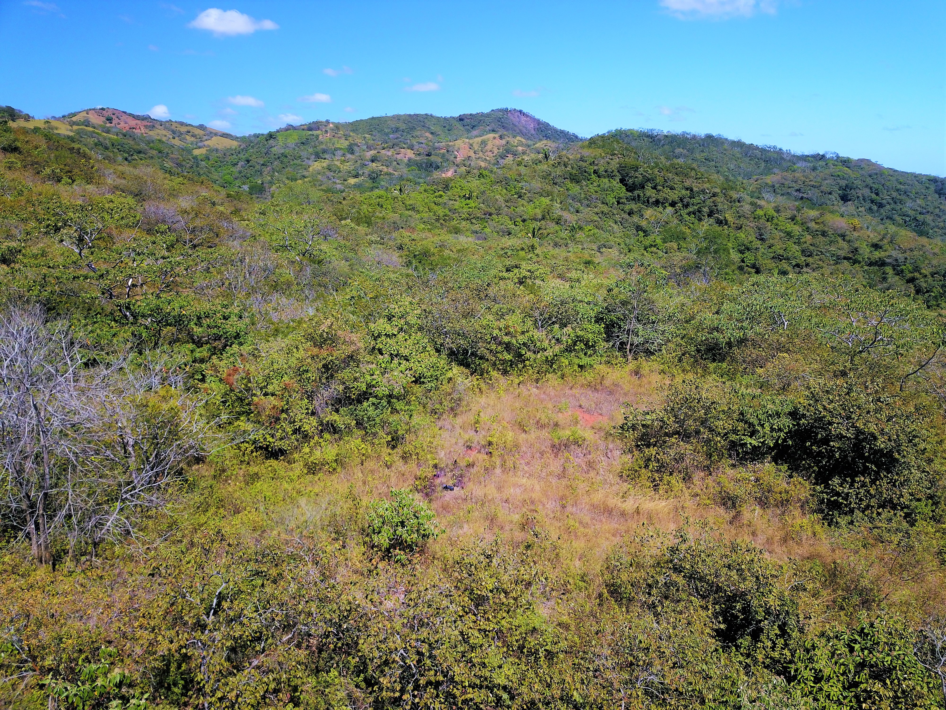 0 bed Land For Sale in Samara, Guanacaste - thumb 5