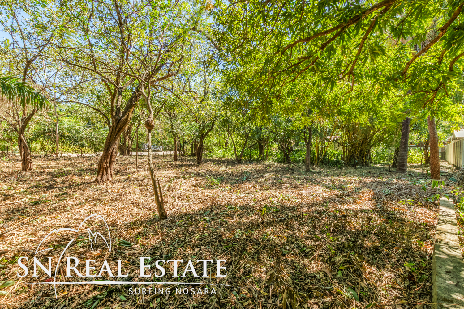 Featured property image