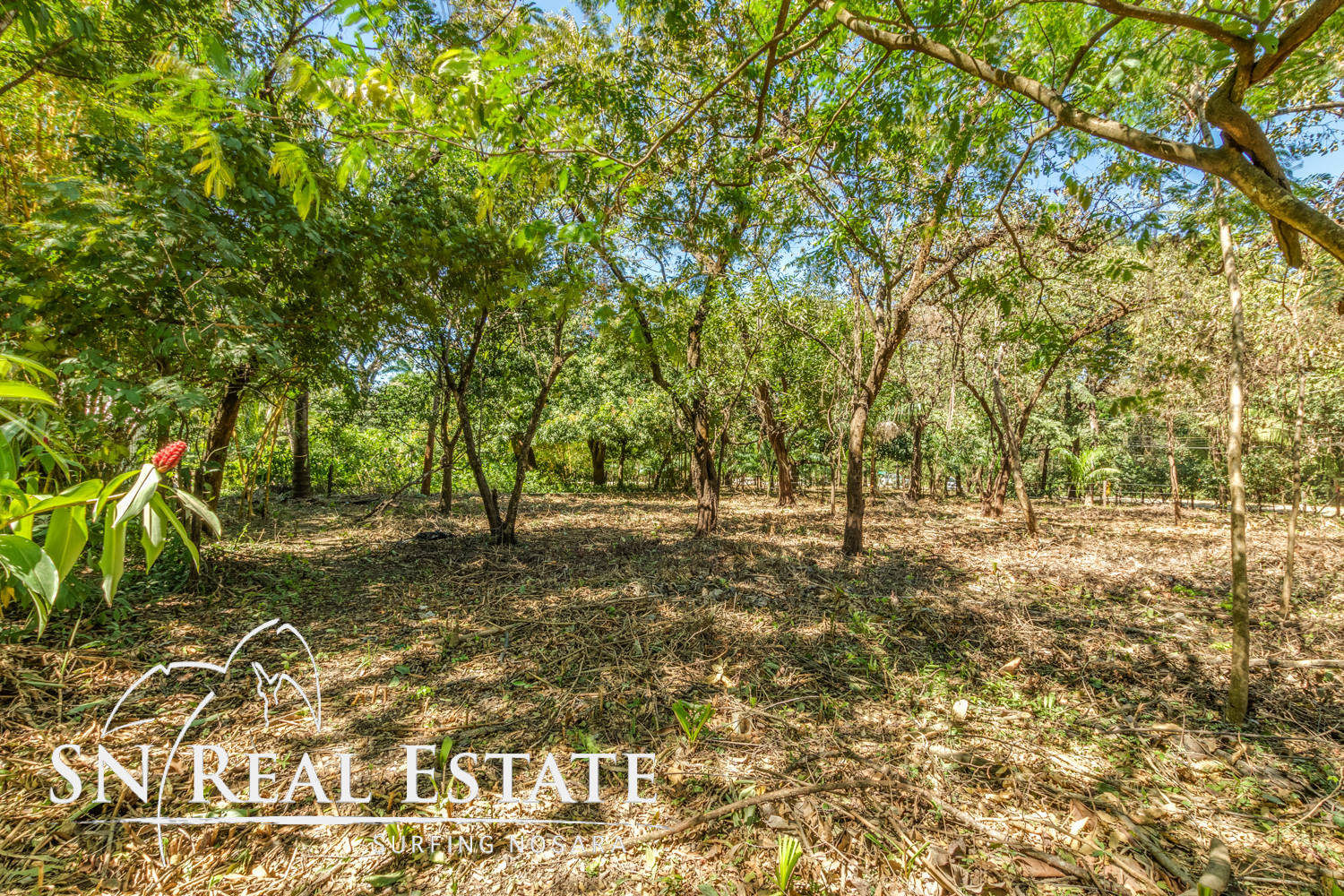 Featured property image