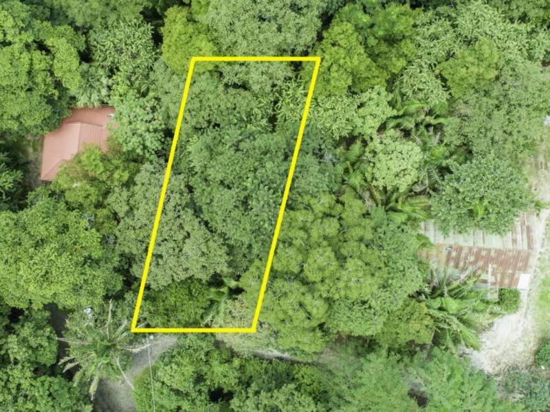 0 bed Land For Sale in Nosara, Guanacaste - 1
