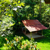  - La Linda Rustic Cabin with River and Natural Stone Pool