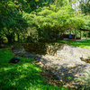  - La Linda Rustic Cabin with River and Natural Stone Pool
