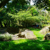  - La Linda Rustic Cabin with River and Natural Stone Pool