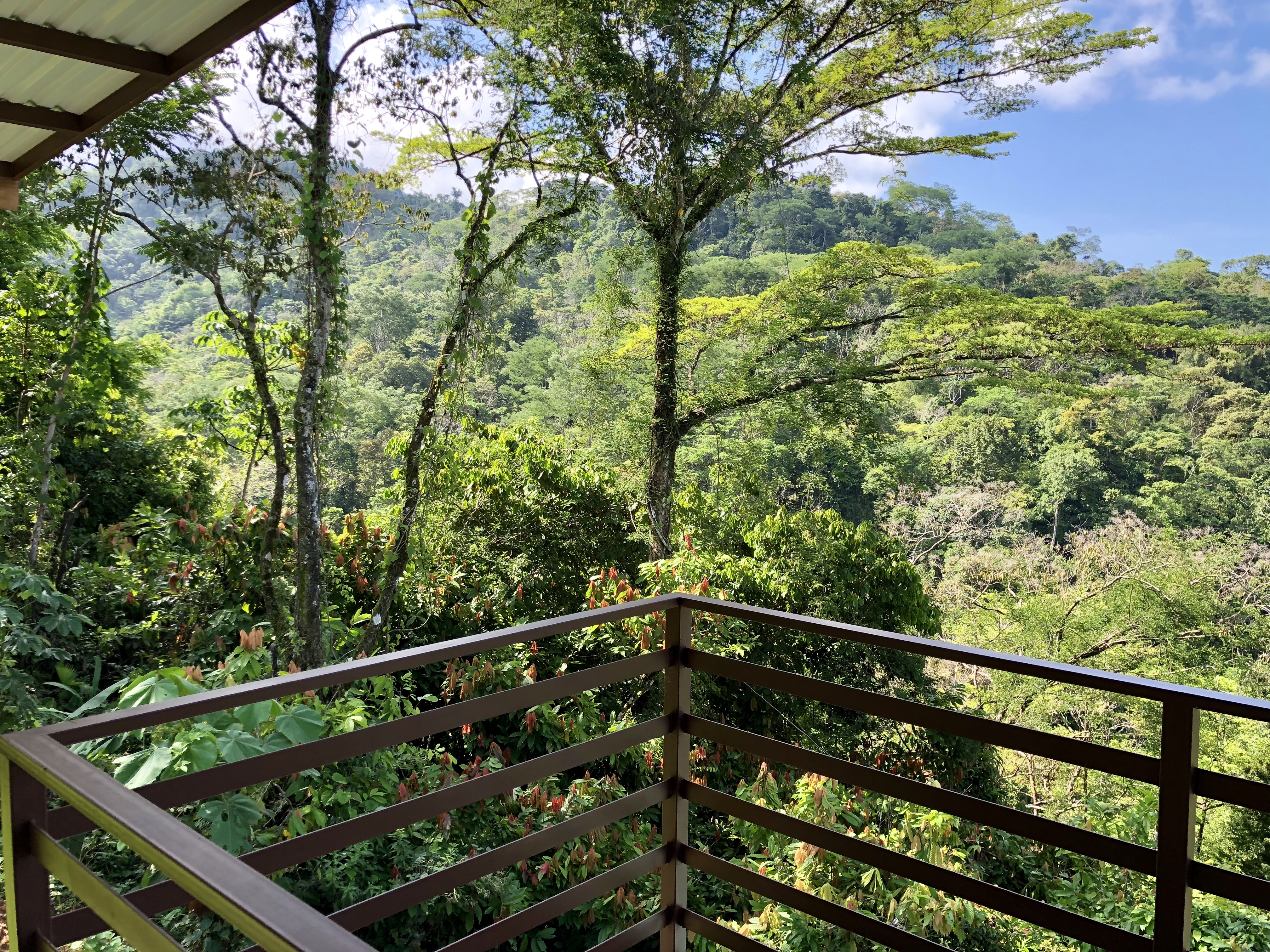 15 bed Hotel / Leisure For Sale in Uvita, Puntarenas - thumb 27