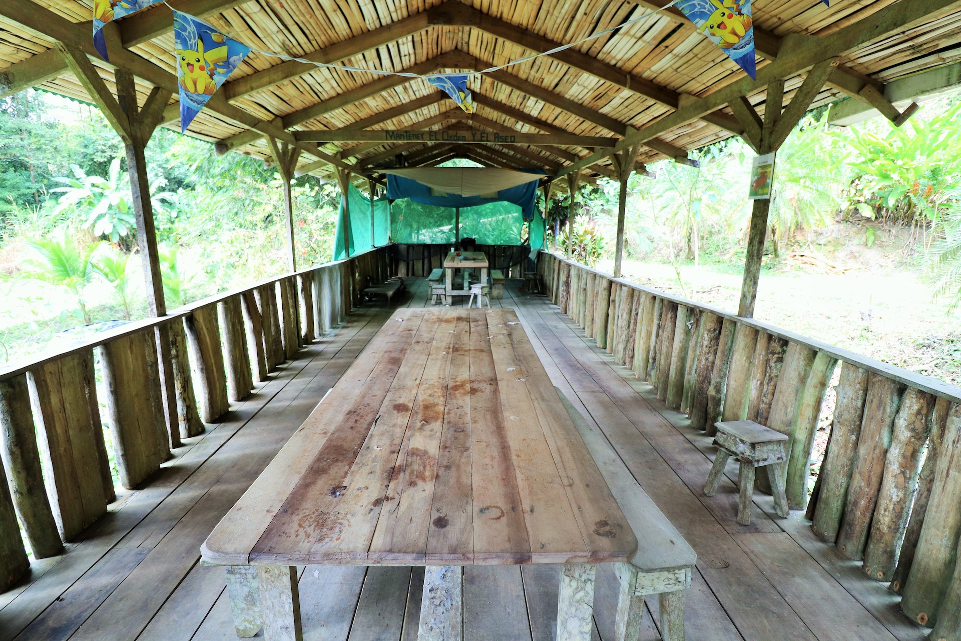 0 bed Land For Sale in Rio Claro, Puntarenas - thumb 6