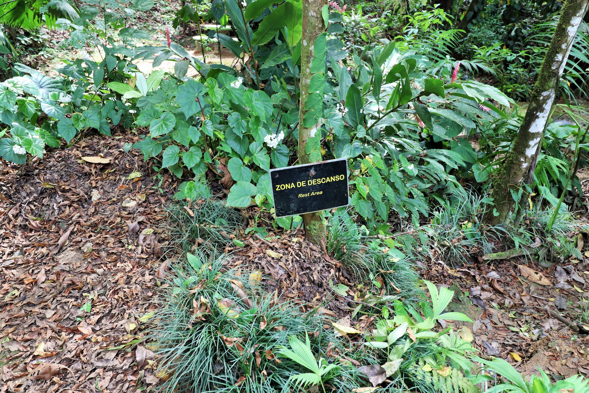 0 bed Land For Sale in Rio Claro, Puntarenas - thumb 7