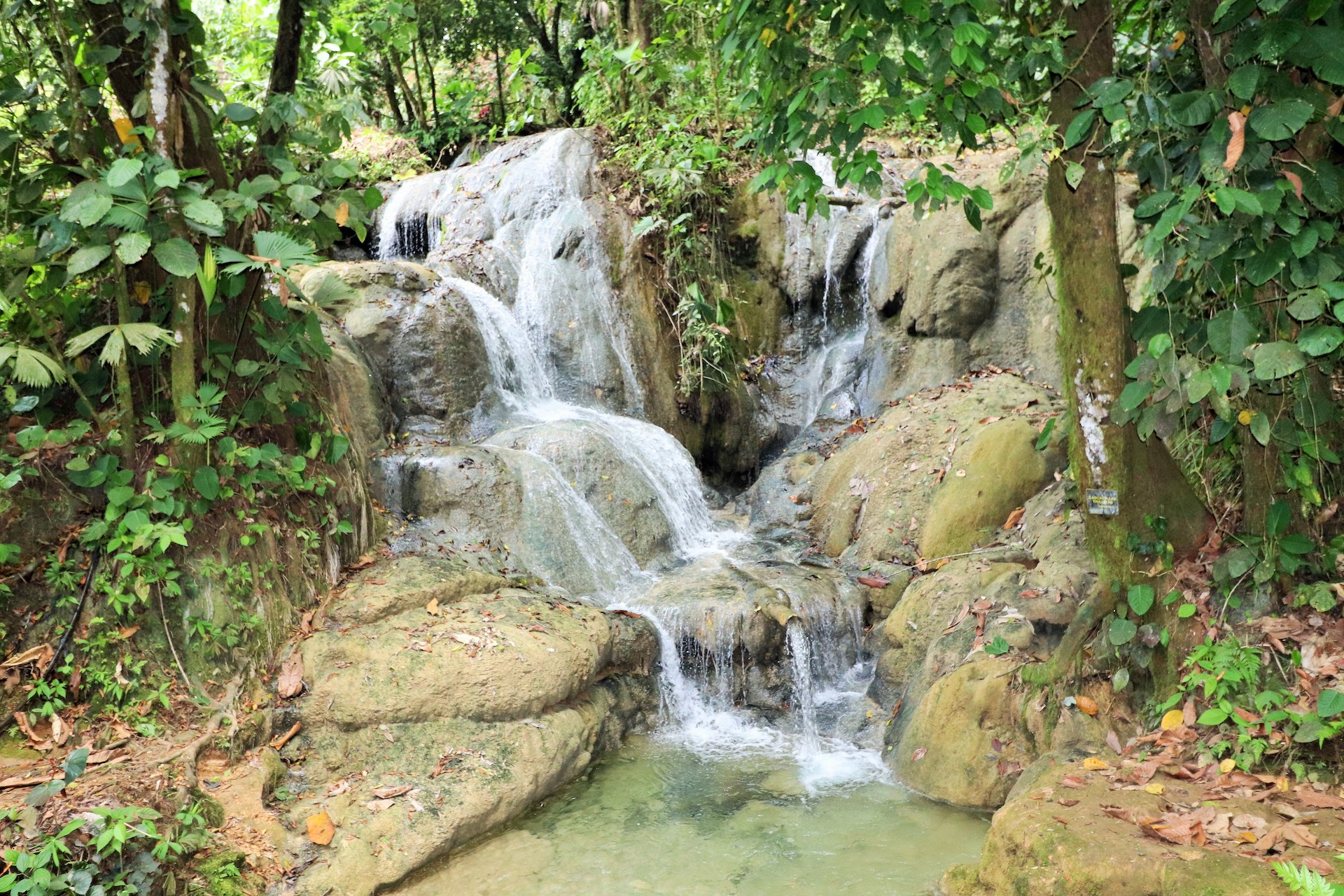 0 bed Land For Sale in Rio Claro, Puntarenas - thumb 1