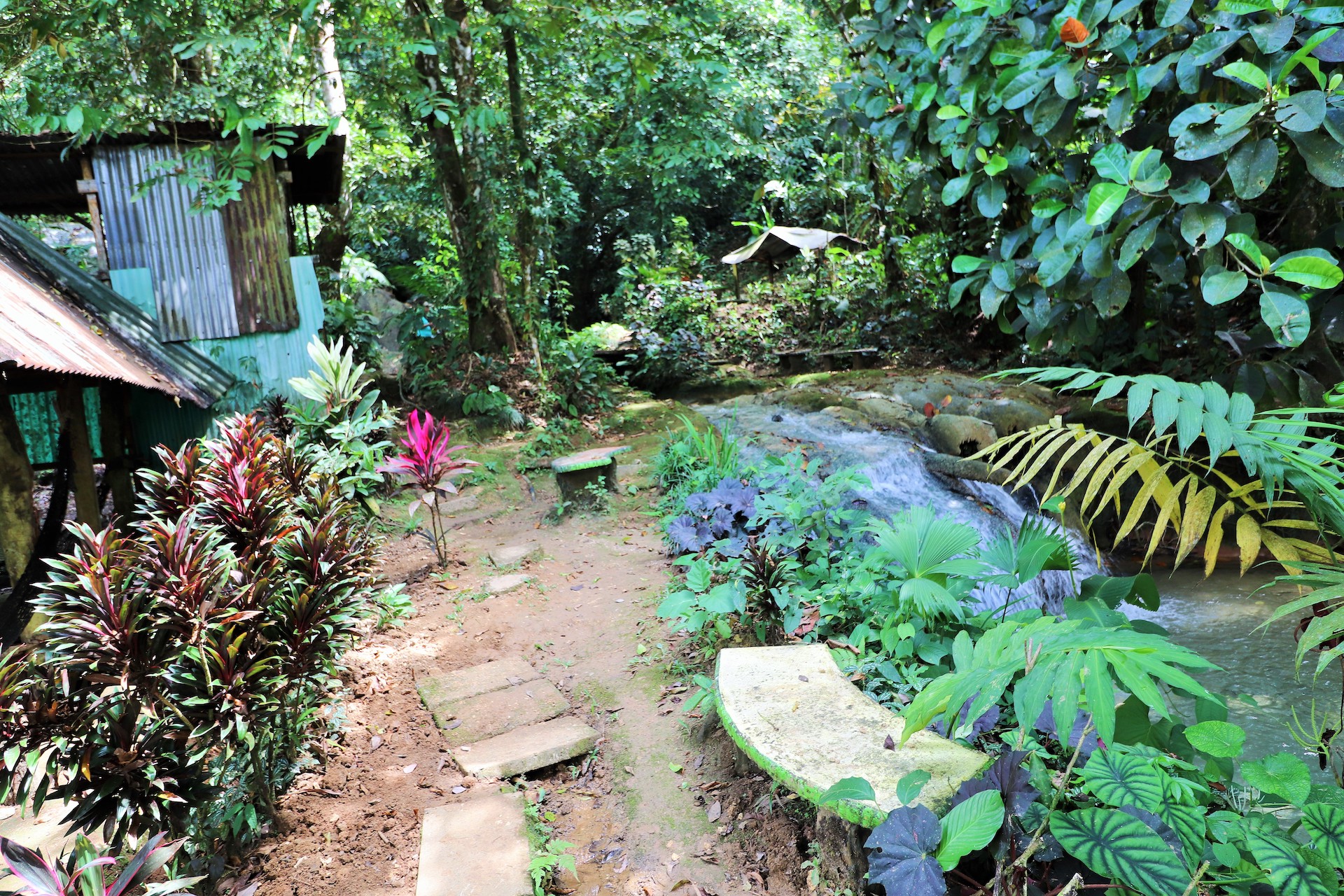 0 bed Land For Sale in Rio Claro, Puntarenas - thumb 8