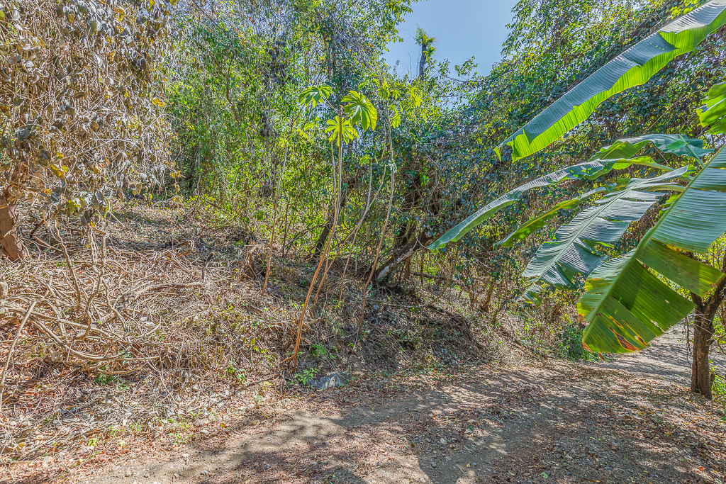 0 bed Land For Sale in Nosara, Guanacaste - thumb 5