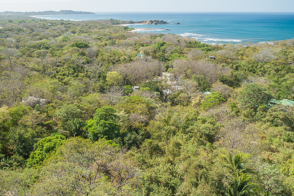 0 bed Land For Sale in Nosara, Guanacaste - thumb 1