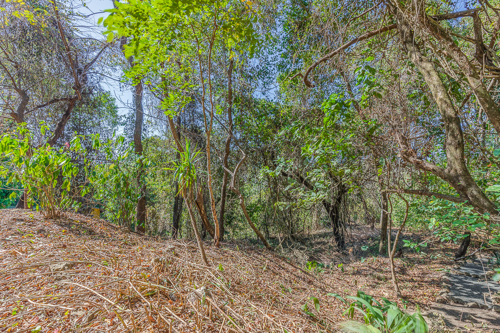 0 bed Land For Sale in Nosara, Guanacaste - thumb 4