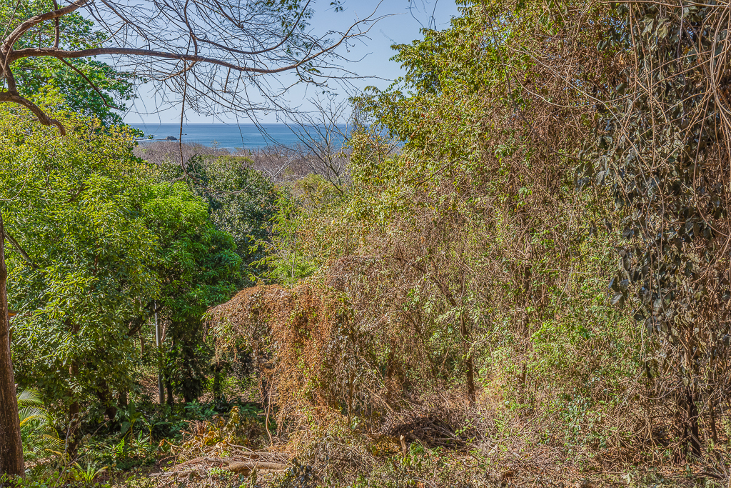 0 bed Land For Sale in Nosara, Guanacaste - thumb 3