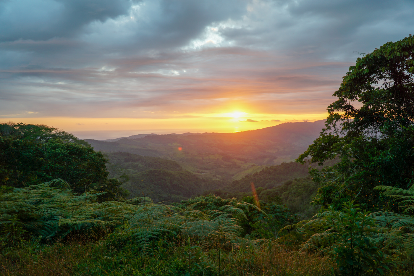 Perez Zeledon Costa Rica Real Estate Real Estate in Perez Zeledon