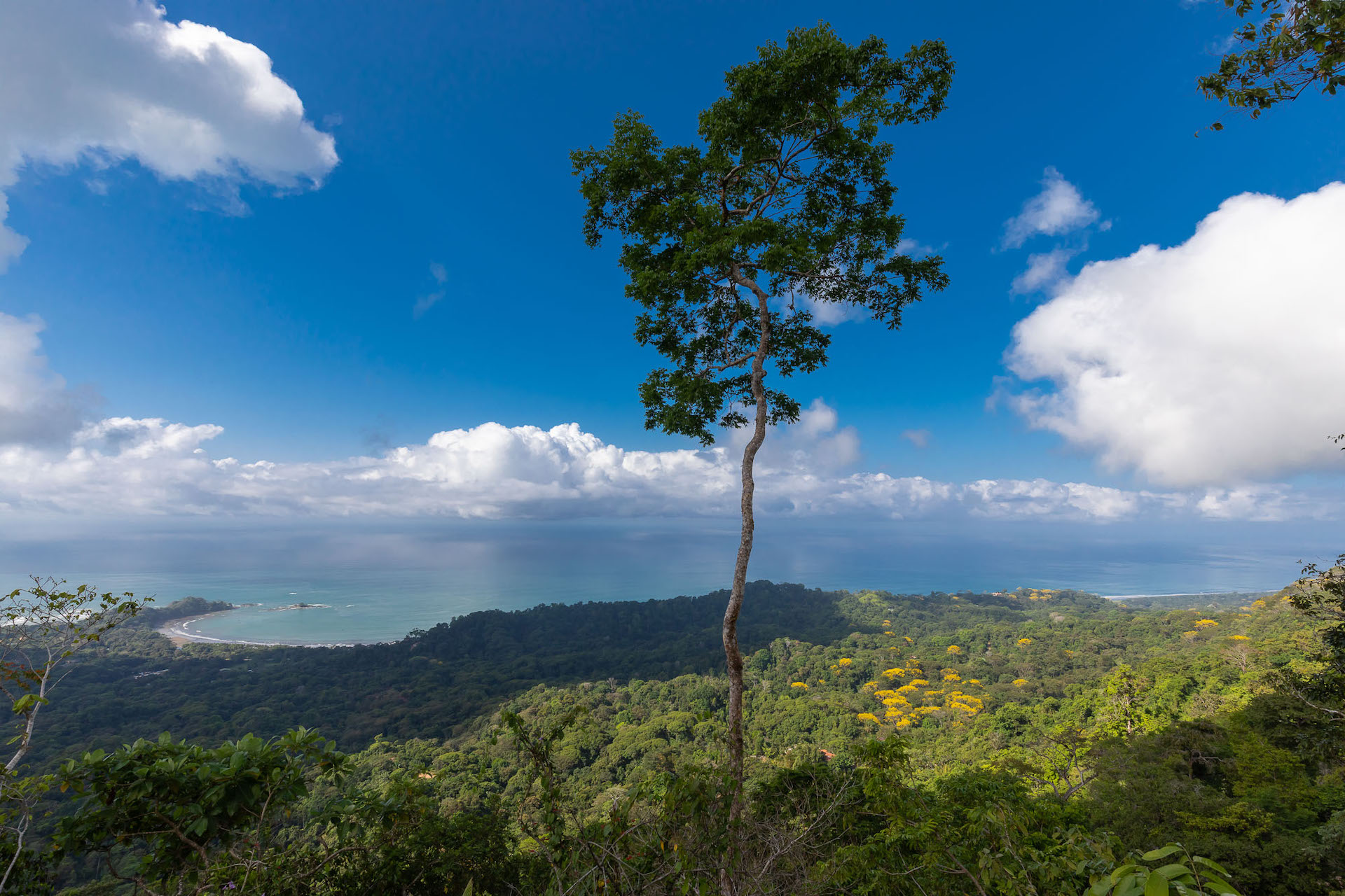 0 bed Land For Sale in Dominical, Puntarenas - thumb 9