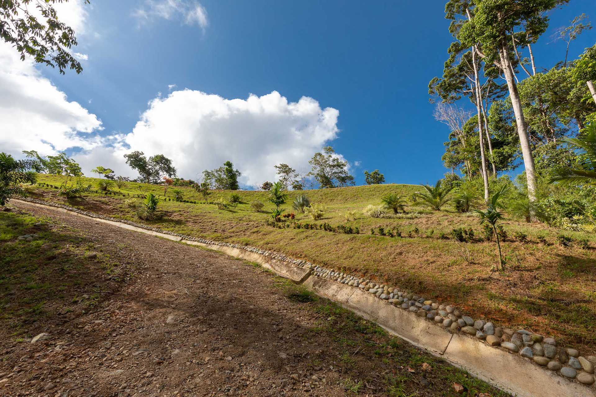 0 bed Land For Sale in Dominical, Puntarenas - thumb 10