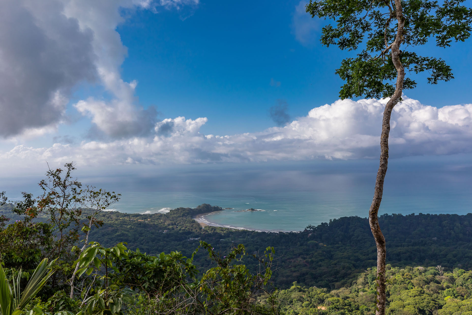 0 bed Land For Sale in Dominical, Puntarenas - thumb 1