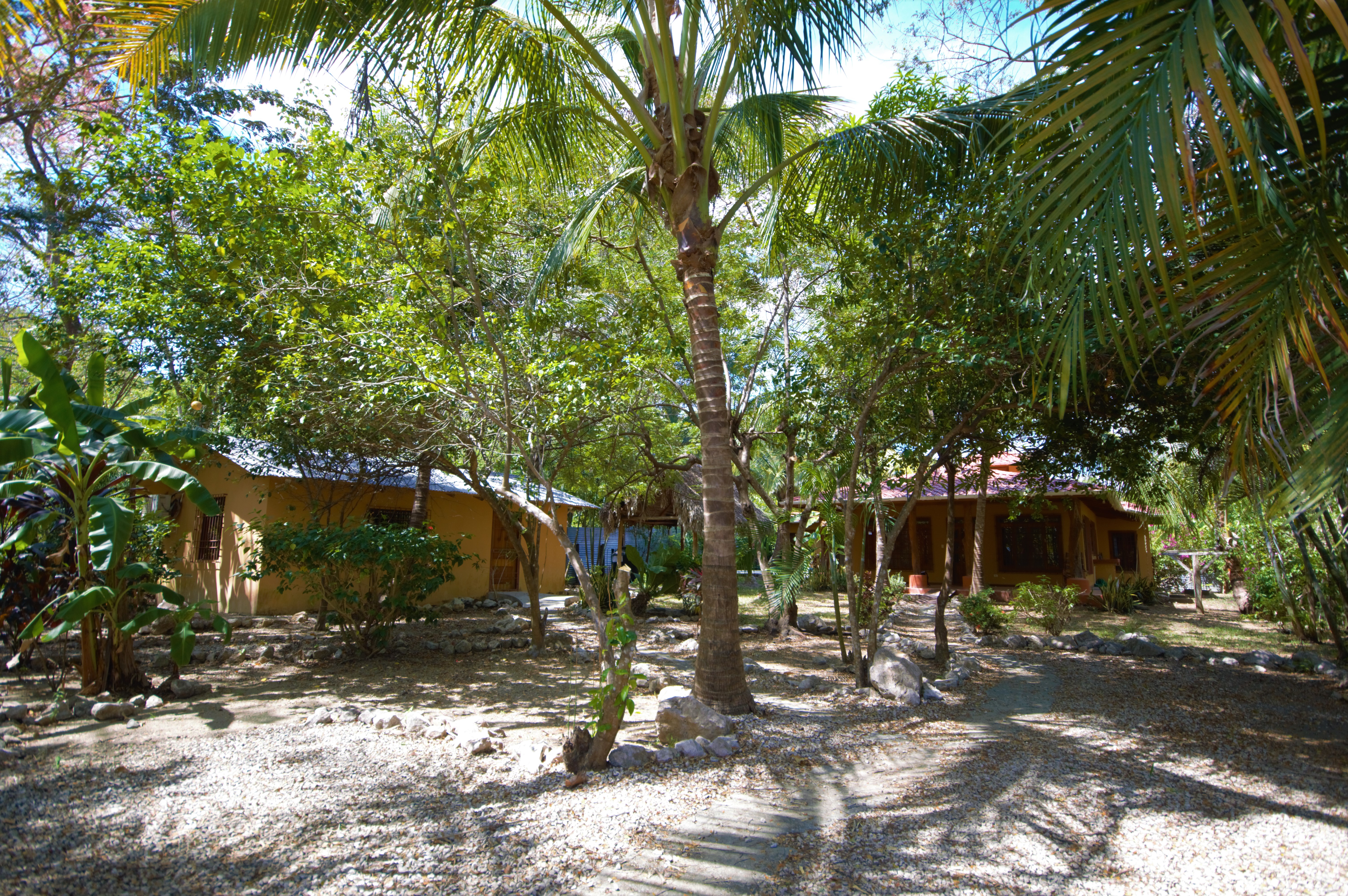 2 bed Single Family Homes For Sale in Samara, Guanacaste - thumb 19