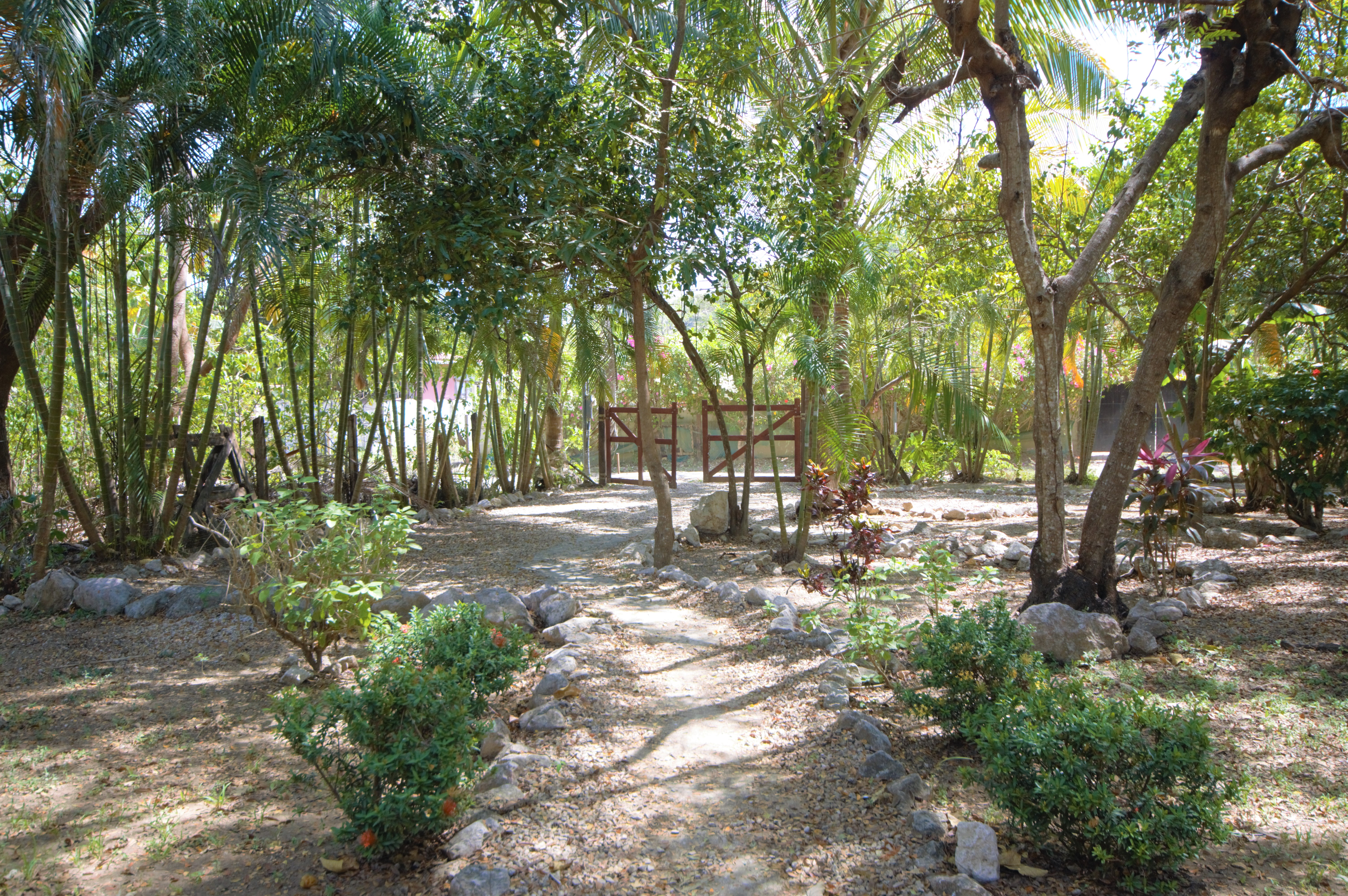 2 bed Single Family Homes For Sale in Samara, Guanacaste - thumb 25