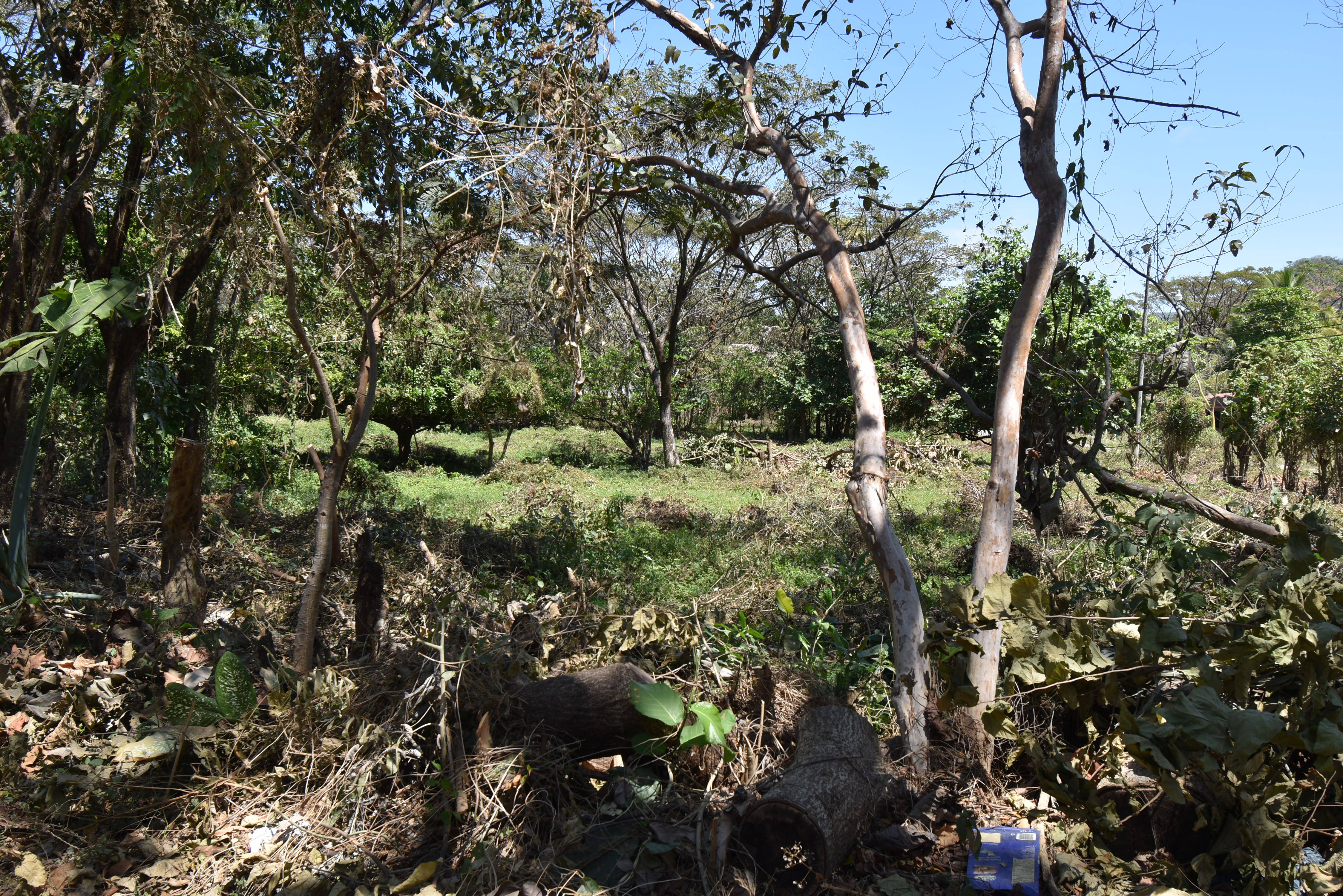 0 bed Land For Sale in Samara, Guanacaste - thumb 18