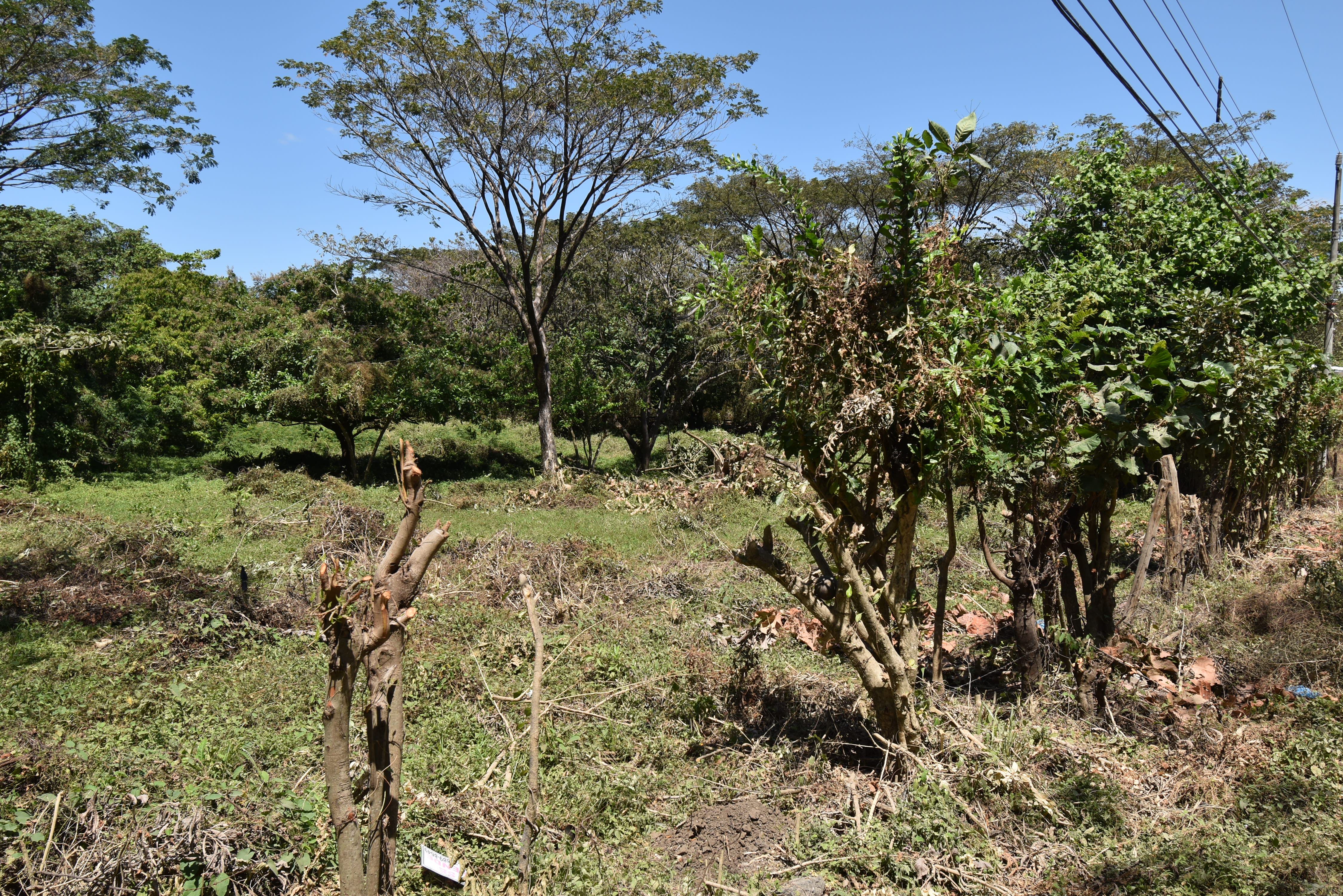 0 bed Land For Sale in Samara, Guanacaste - thumb 16