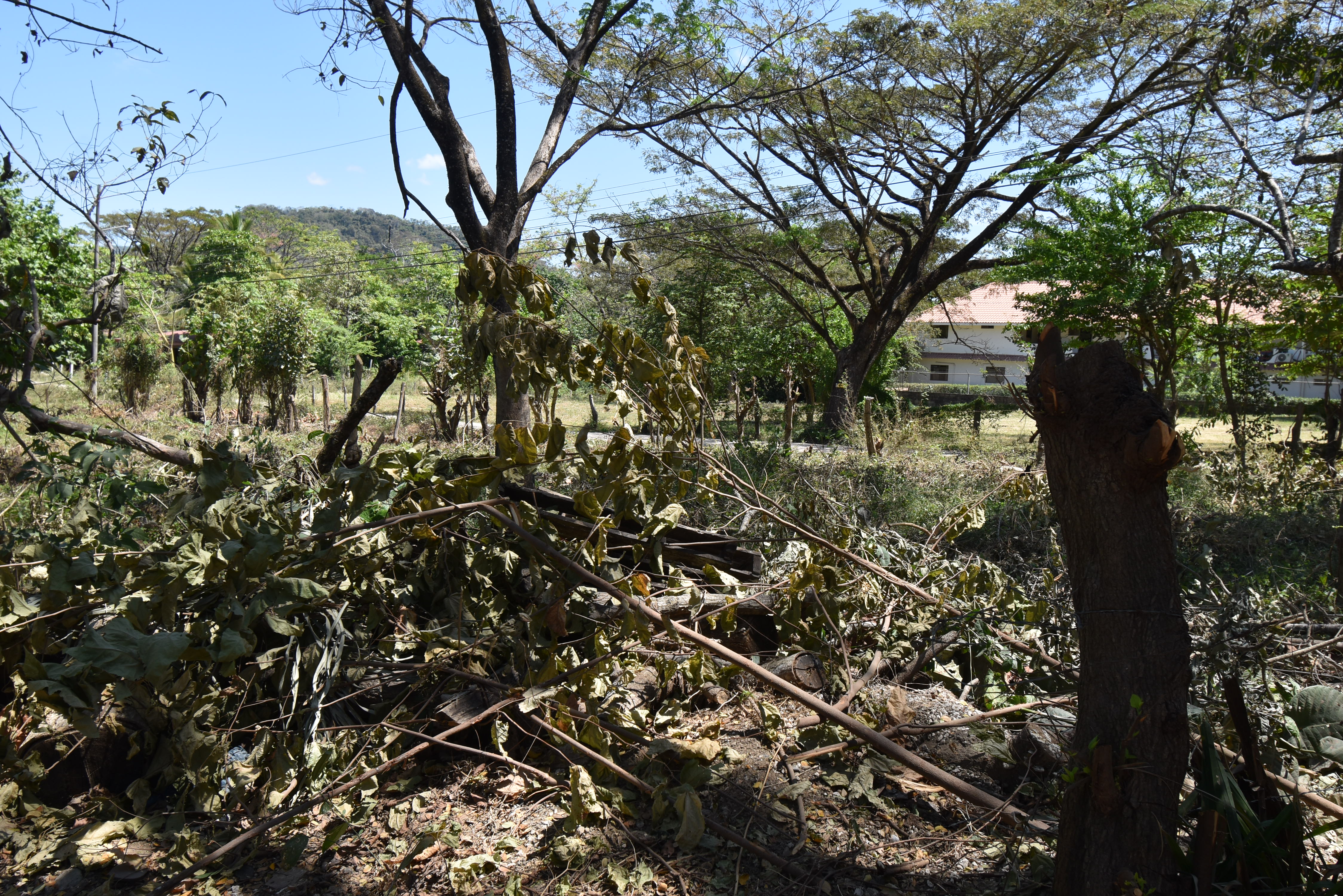 0 bed Land For Sale in Samara, Guanacaste - thumb 17