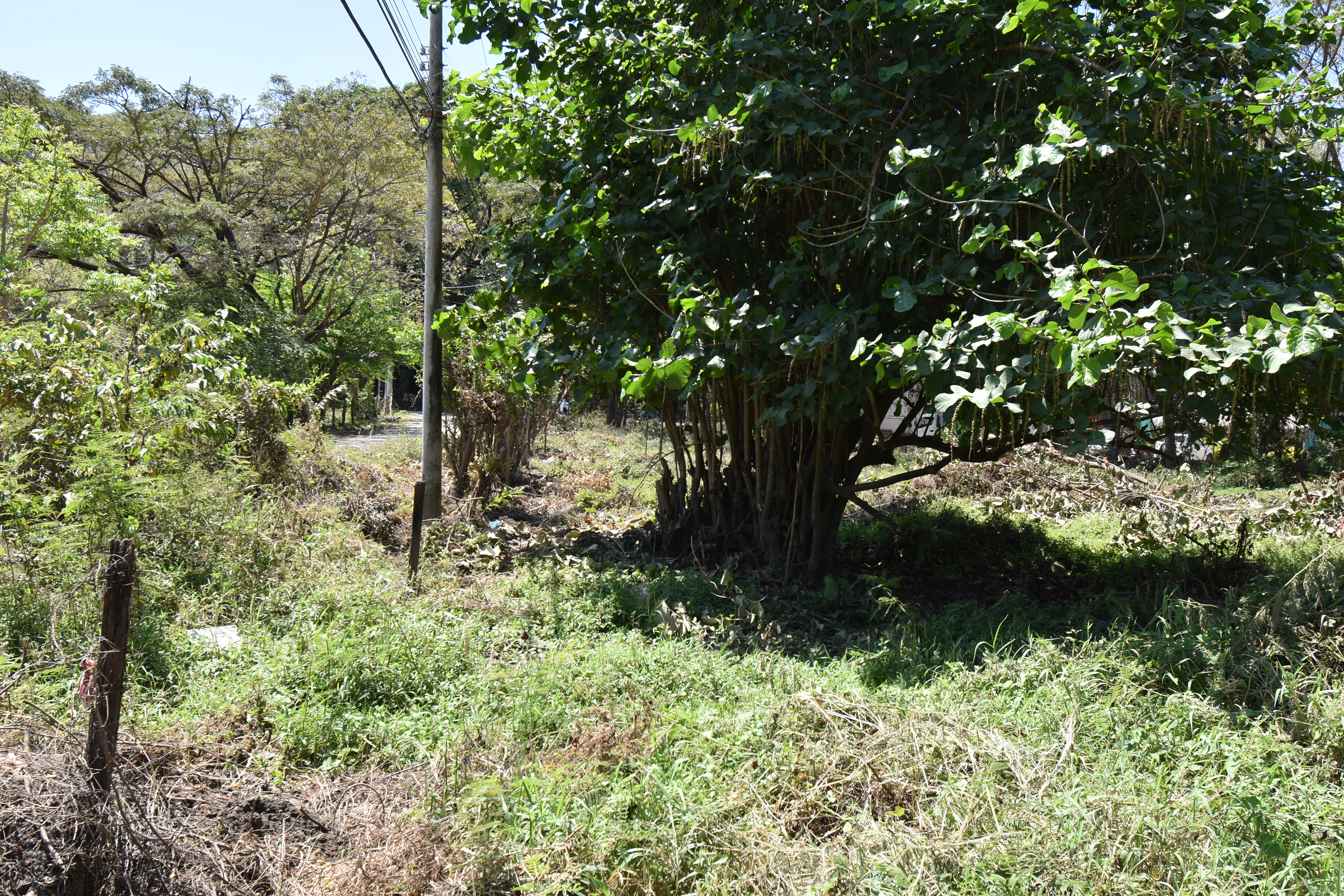 0 bed Land For Sale in Samara, Guanacaste - thumb 30