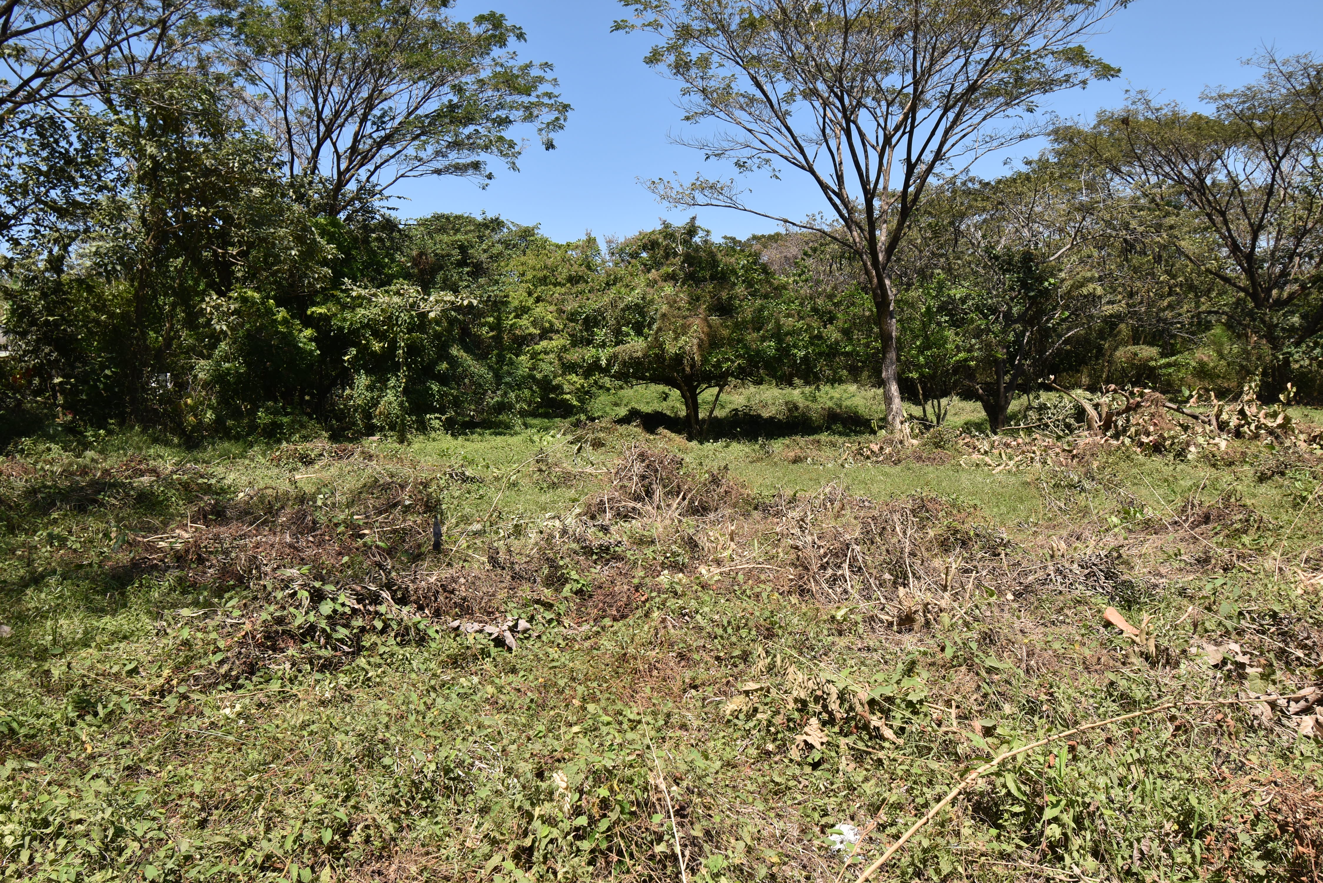 0 bed Land For Sale in Samara, Guanacaste - thumb 25