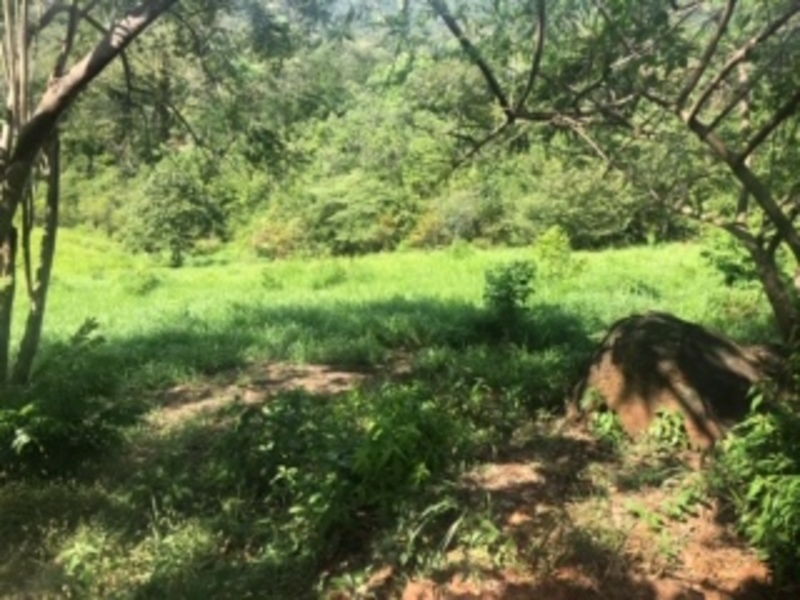 0 bed Land For Sale in Samara, Guanacaste - 1