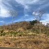  - Lot for Sale near Dreams Las Mareas