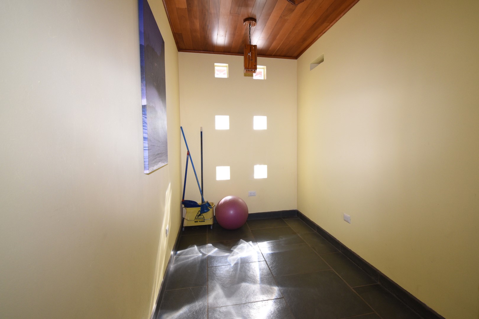 6 bed Single Family Homes For Sale in Dominical, Puntarenas - thumb 8