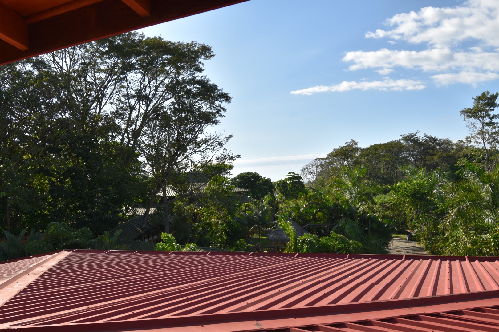 6 bed Single Family Homes For Sale in Dominical, Puntarenas - thumb 19