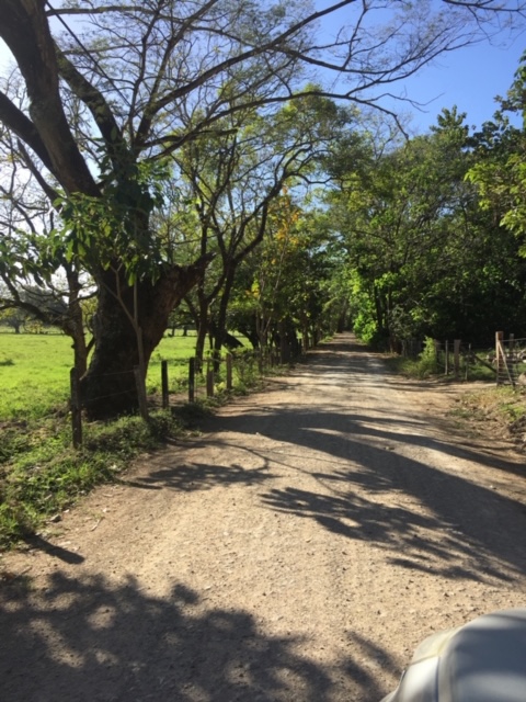 3 bed Condo For Sale in Samara, Guanacaste - thumb 25