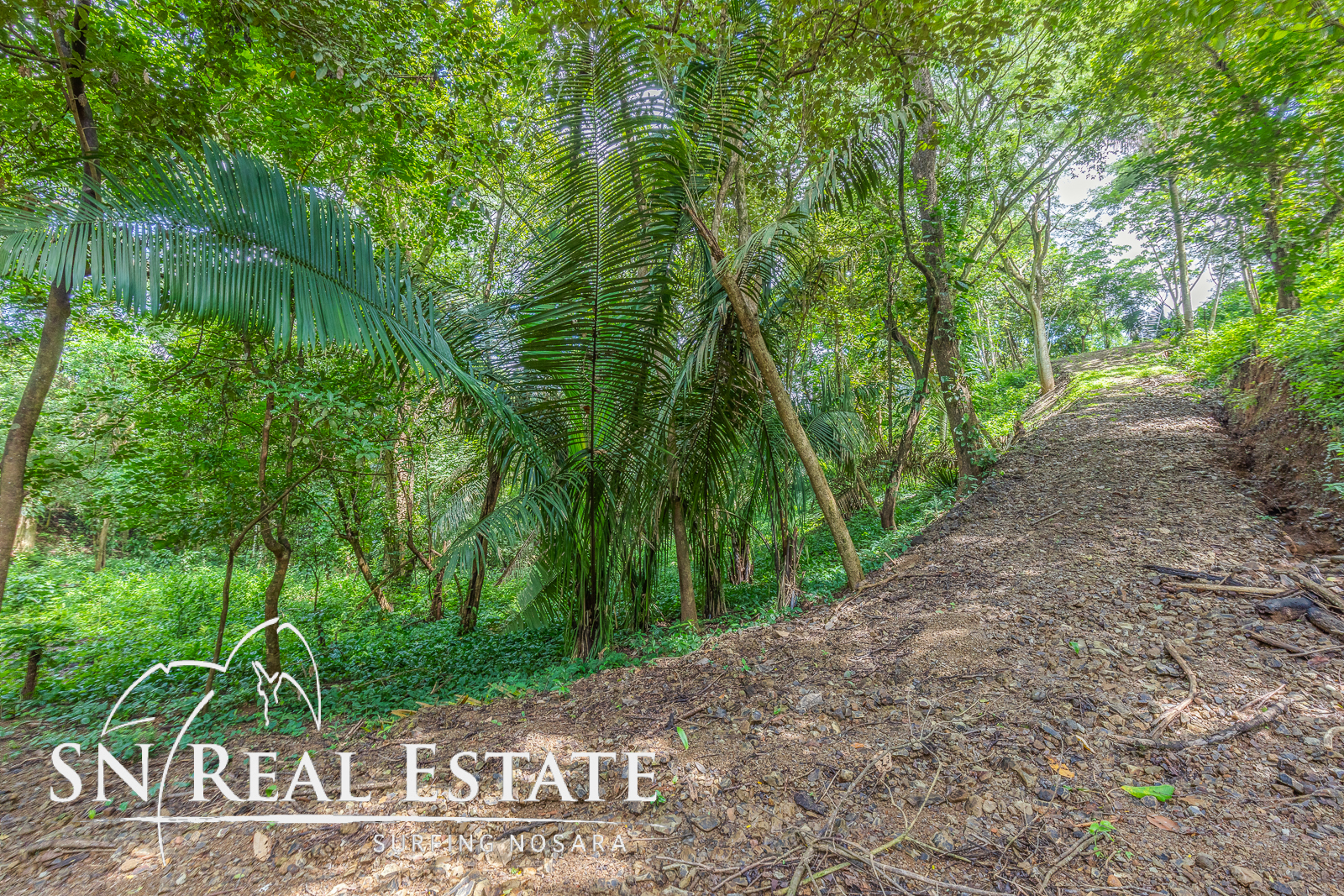 0 bed Land For Sale in Playa Pelada, Guanacaste - thumb 4