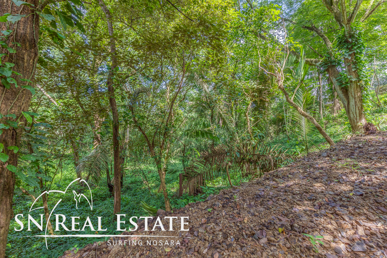 0 bed Land For Sale in Playa Pelada, Guanacaste - thumb 3