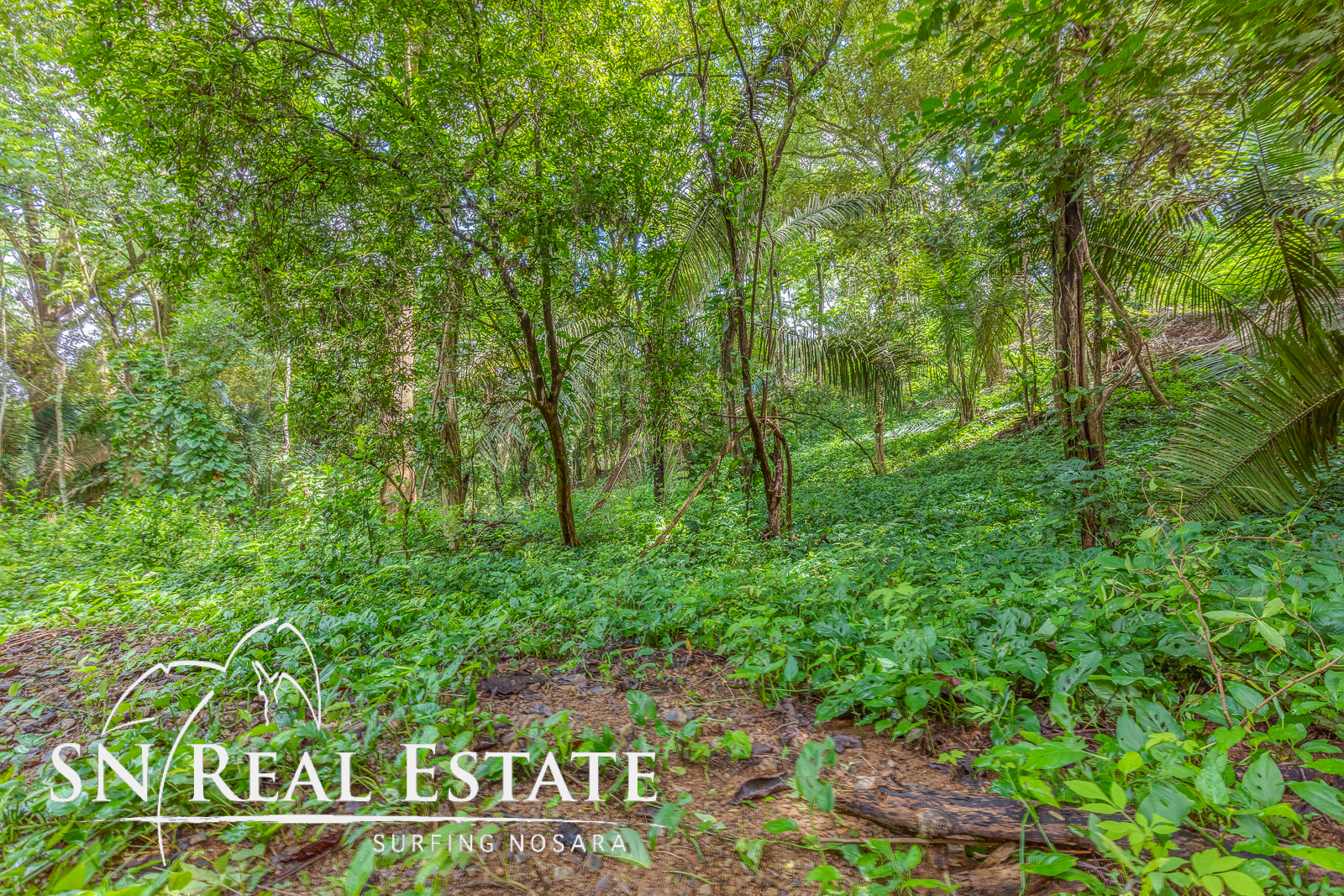 0 bed Land For Sale in Playa Pelada, Guanacaste - thumb 5