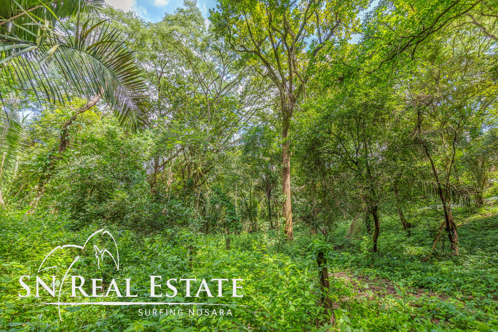 0 bed Land For Sale in Playa Pelada, Guanacaste - thumb 7