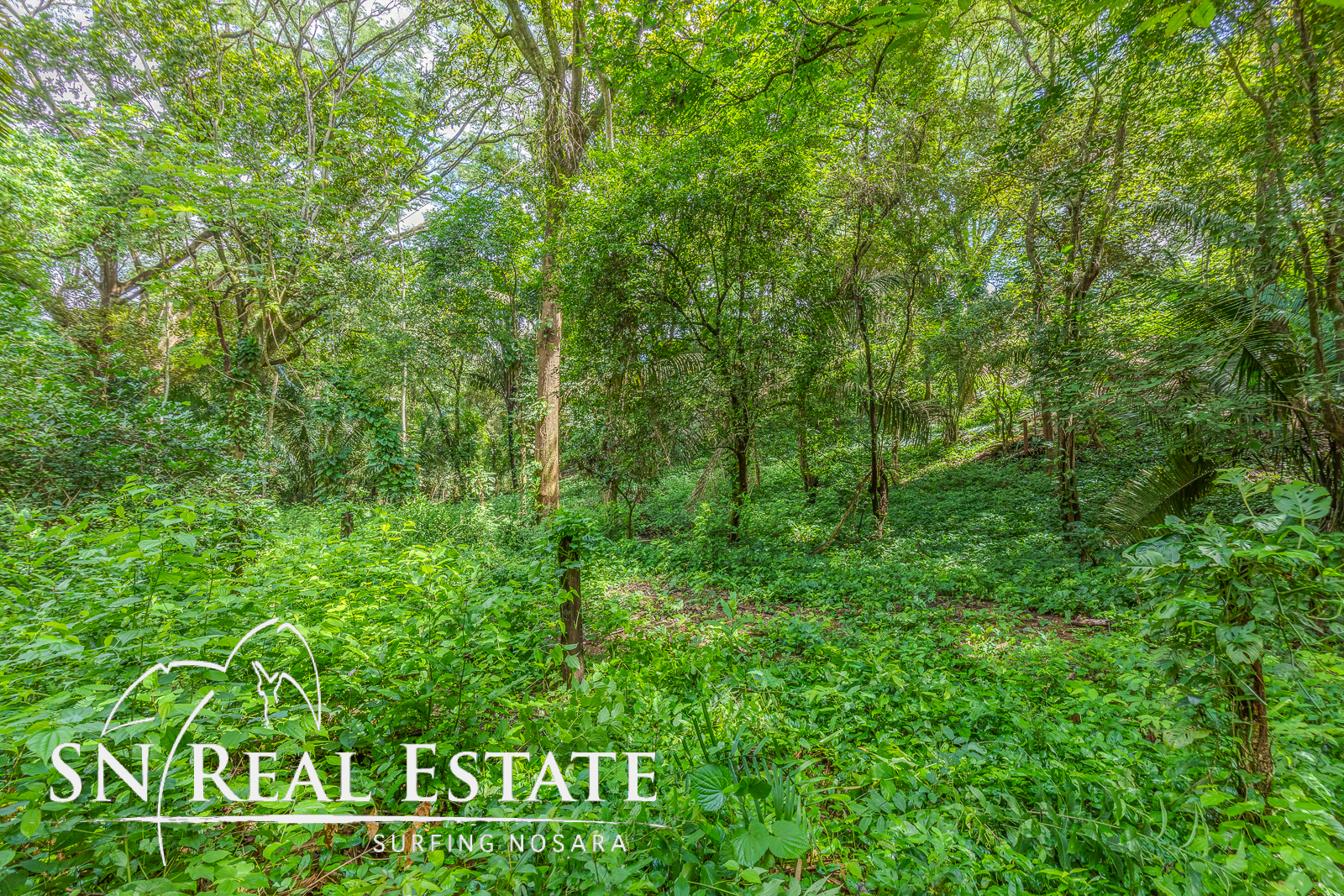 0 bed Land For Sale in Playa Pelada, Guanacaste - thumb 6