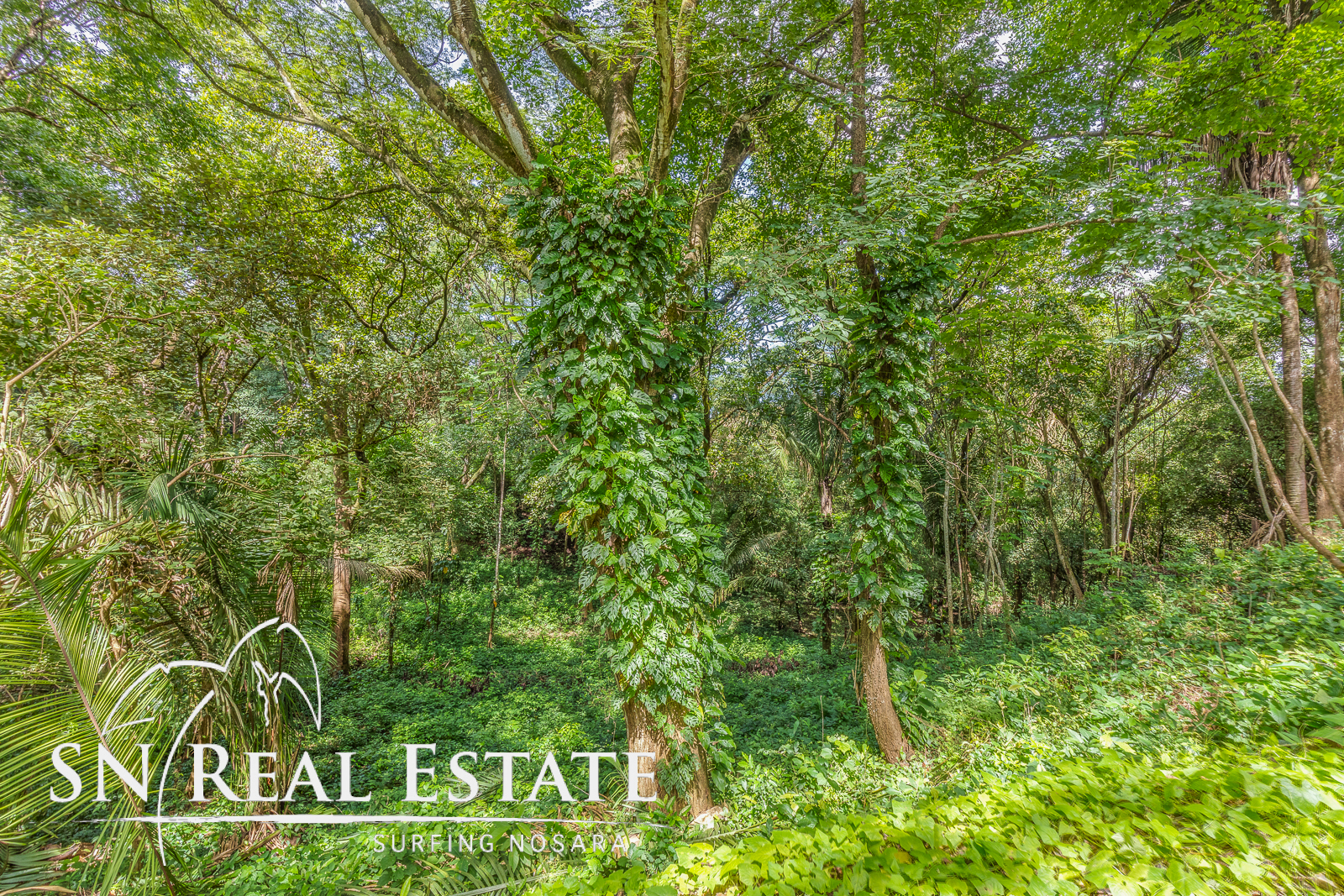 0 bed Land For Sale in Playa Pelada, Guanacaste - thumb 1