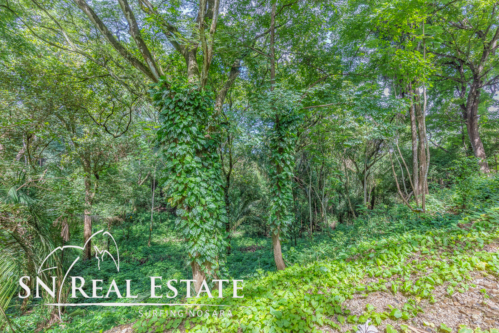0 bed Land For Sale in Playa Pelada, Guanacaste - thumb 2