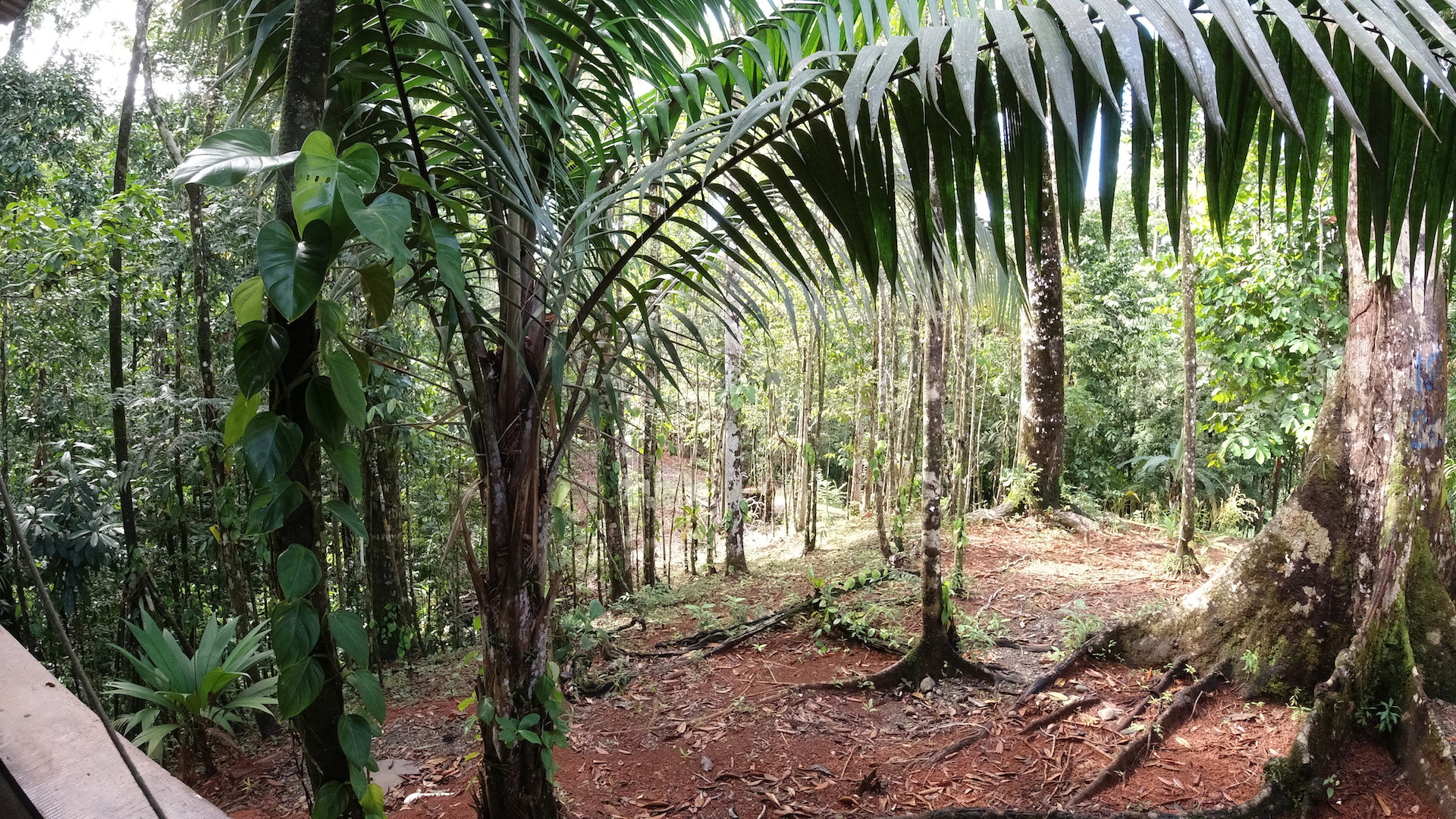 4 bed Single Family Homes For Sale in Rincon, Puntarenas - thumb 12