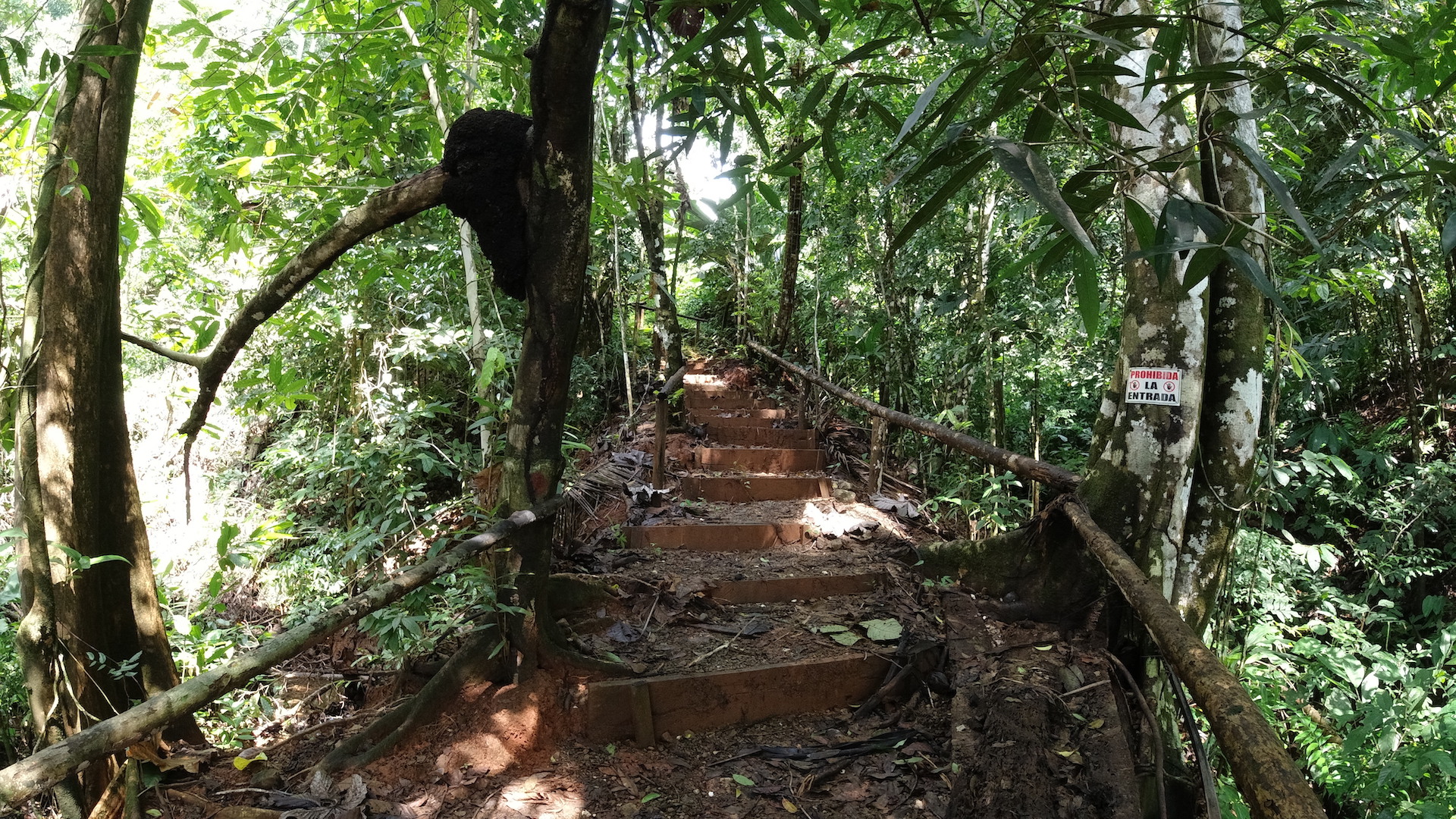 4 bed Single Family Homes For Sale in Rincon, Puntarenas - thumb 14