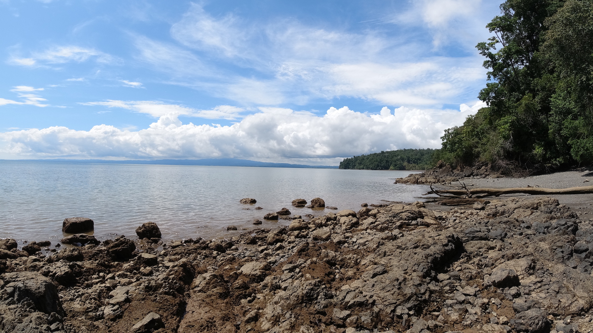 4 bed Single Family Homes For Sale in Rincon, Puntarenas - thumb 2