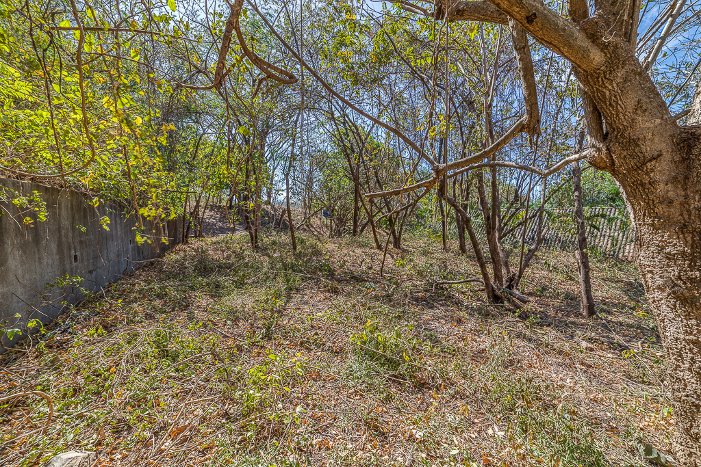 0 bed Land For Sale in Nosara, Guanacaste - thumb 3