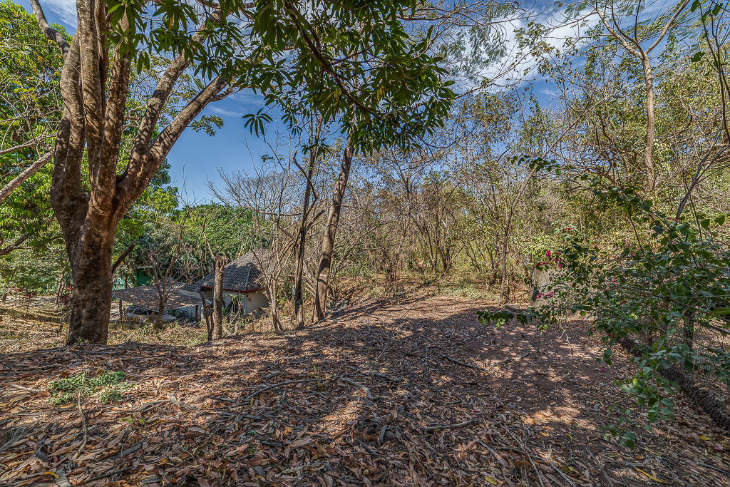 0 bed Land For Sale in Nosara, Guanacaste - thumb 6