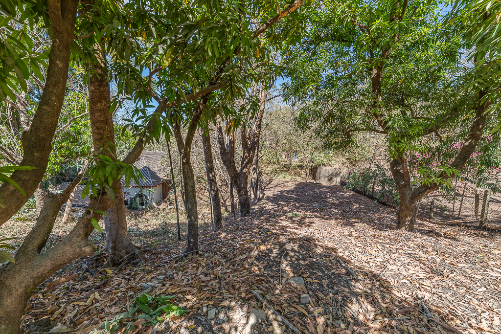 0 bed Land For Sale in Nosara, Guanacaste - thumb 1