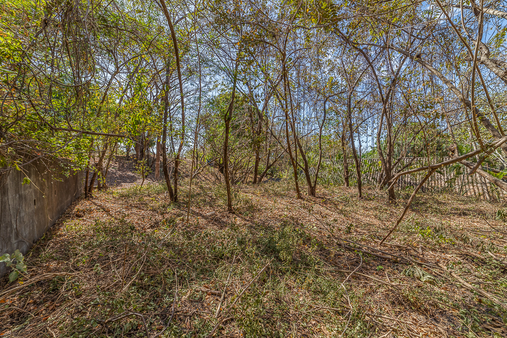 0 bed Land For Sale in Nosara, Guanacaste - thumb 4