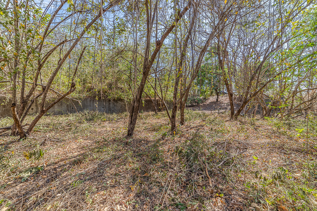 0 bed Land For Sale in Nosara, Guanacaste - thumb 2